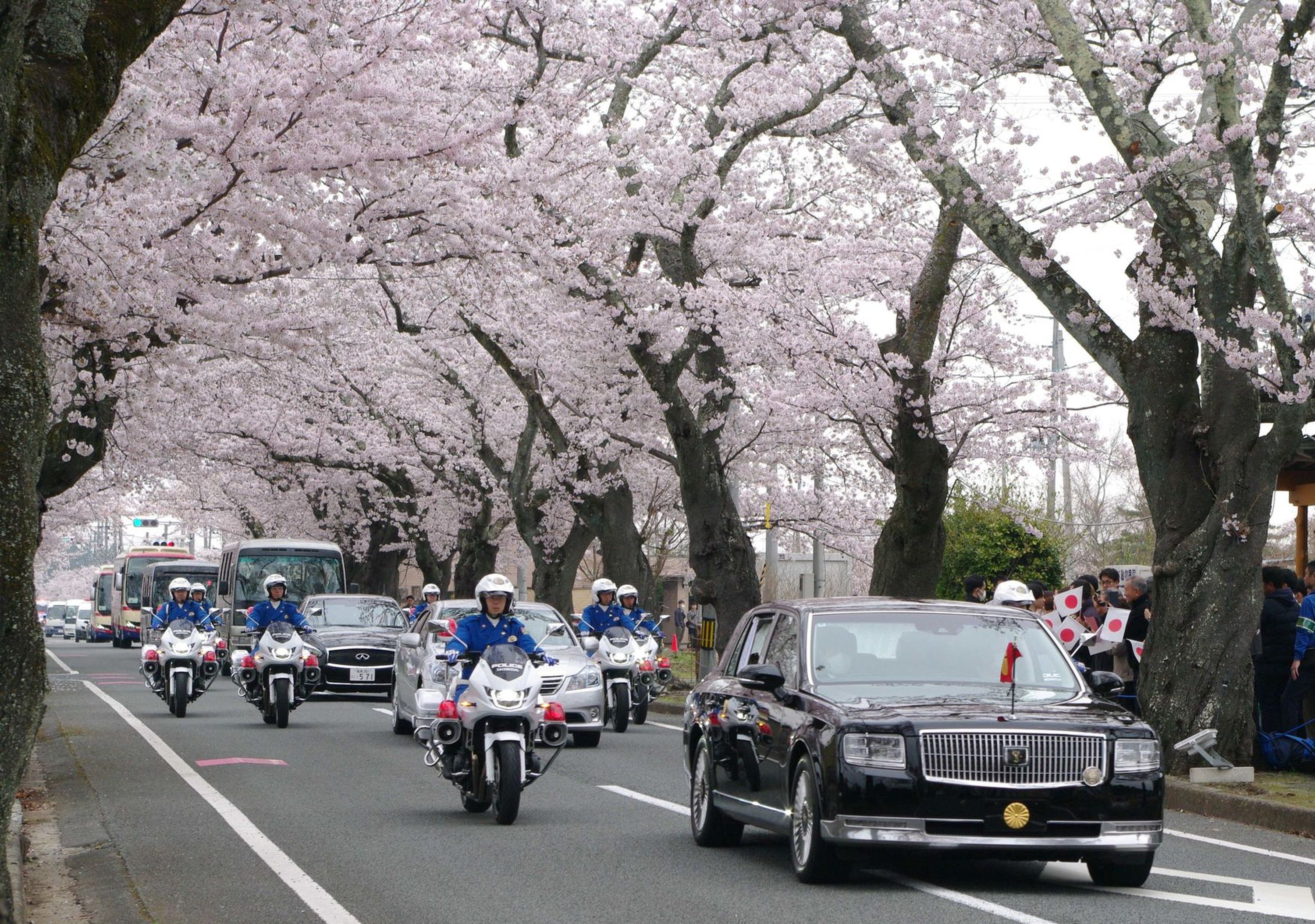 あの日から15年~菊花紋と夜の森桜の邂逅