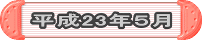 23NT 